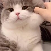 Chimnonuwu