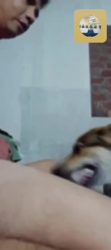 Tội con chó 🐶