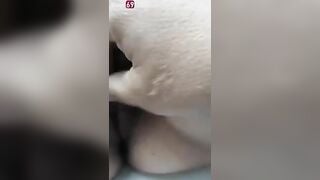 Sex viet